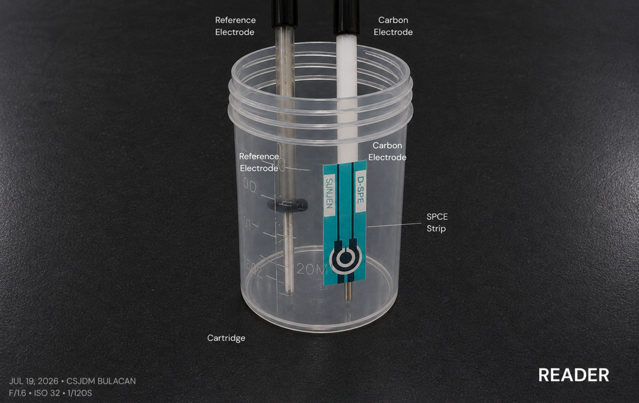 Electrochemical Reader